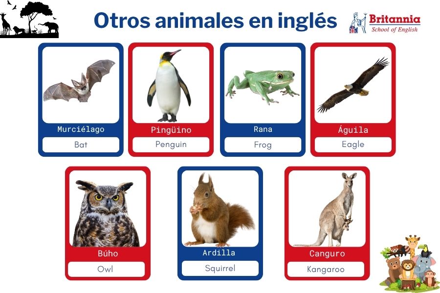Plantilla Actividades para aprender los animales en inglés