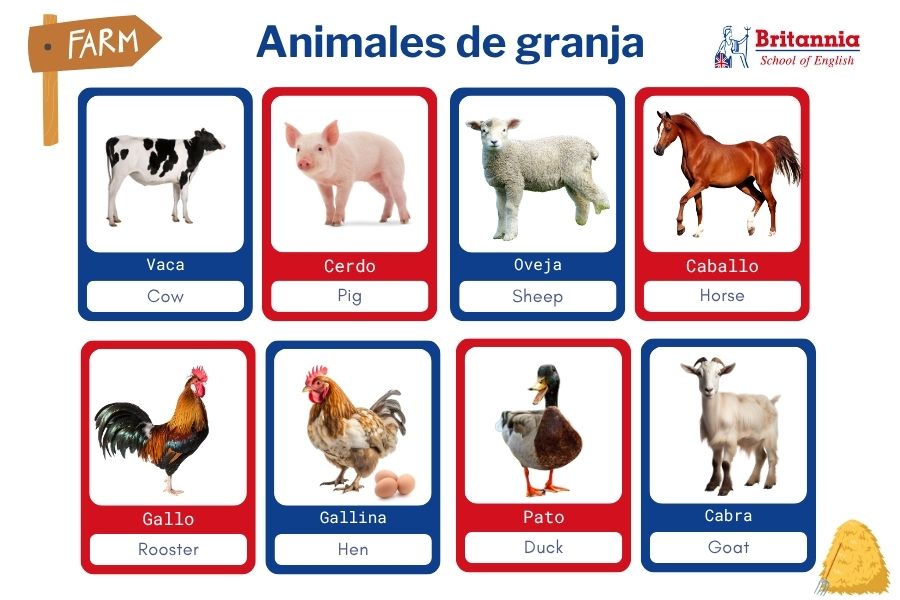 Plantilla animales de granja en inglés para niños
