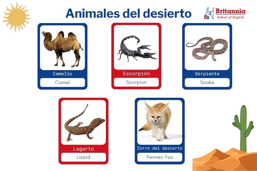 Plantilla animales del desierto en inglés para niños