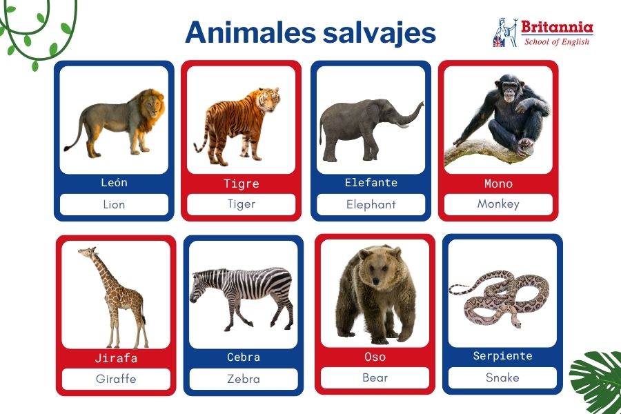 Plantilla animales salvajes en inglés para niños