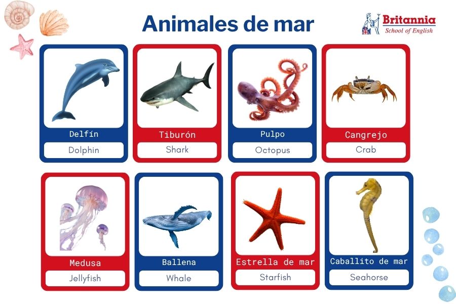 Plantilla animales de mar en inglés para niños